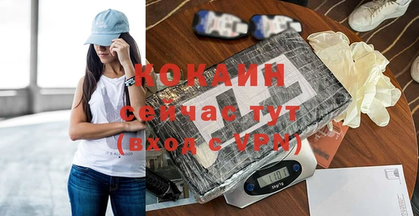 прущие грибы Новокубанск