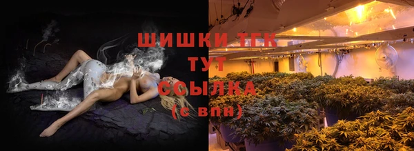 прущие грибы Новокубанск