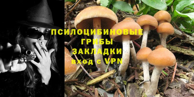 Псилоцибиновые грибы MAGIC MUSHROOMS  hydra маркетплейс  Власиха 